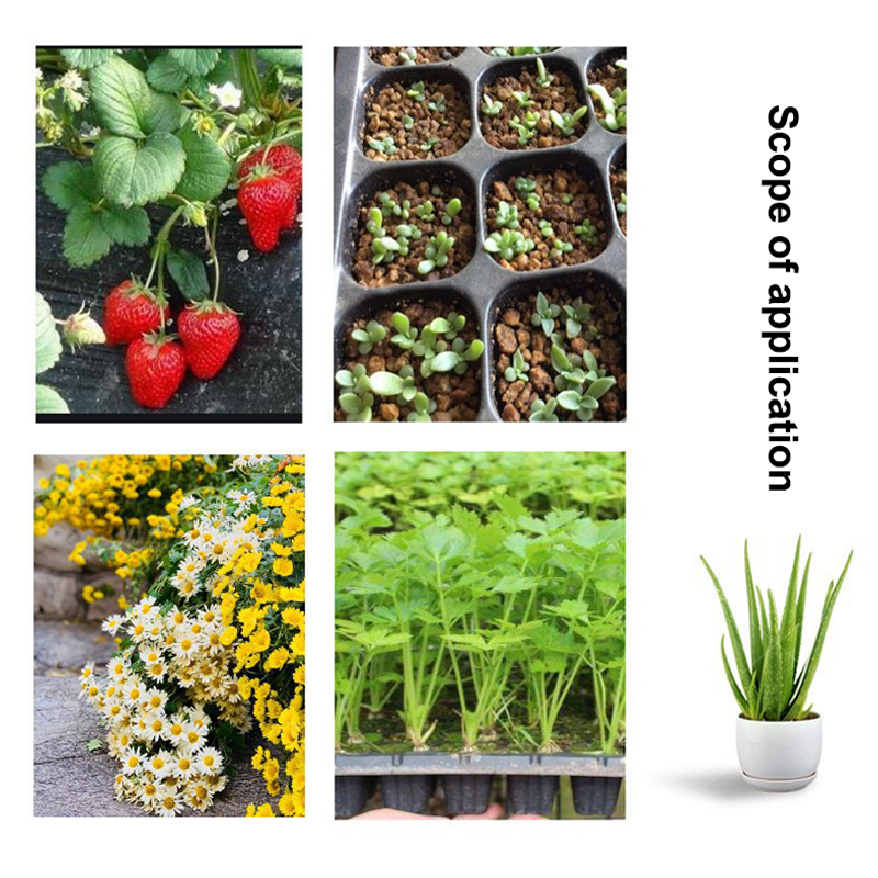 Hot 10Pcs Seedling Trays Plast - đánh giá và giá Seed Starter Tray