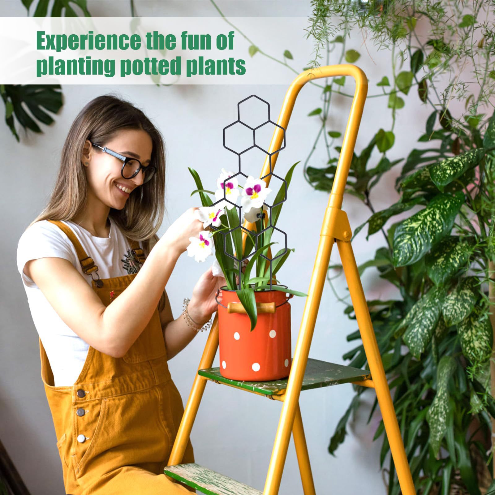 1PC Honeycomb Design Plant Tre - đánh giá và giá Indoor Herb Garden