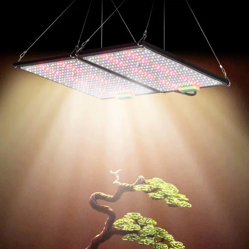 LED Quantum‑Board Grow Light F - đánh giá và giá Grow Light Led