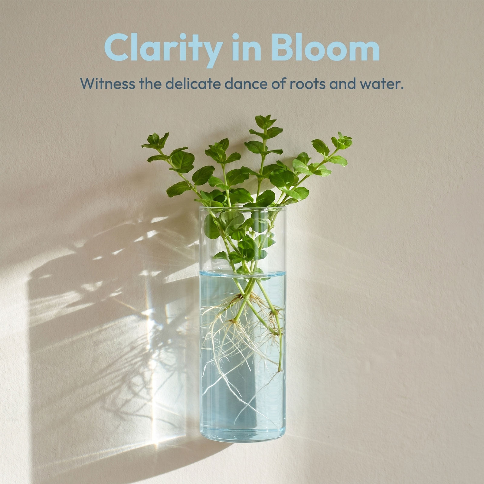 5Pcs Wall Planter Cylinder Gla - đánh giá và giá Vertical Planter