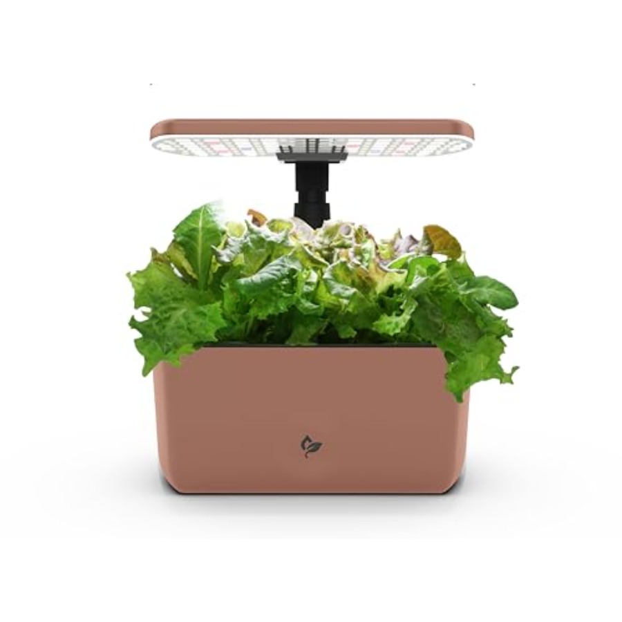 Indoor hydroponic garden for y - đánh giá và giá Indoor Herb Garden